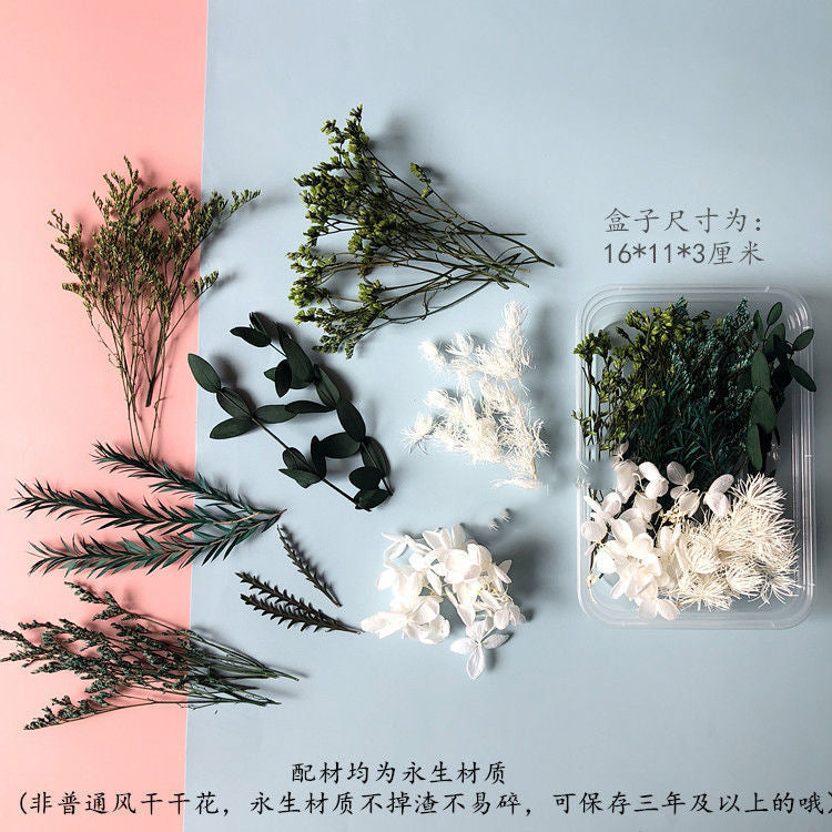 Wholesale Eternal Flower Baby's Breath Daisy Dried Flower Floating Flower Pressed Flower Kindergarten Handmade Flower Art Diy Filling Material